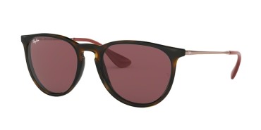 Ray-Ban ® Erika Color Mix RB4171-639175