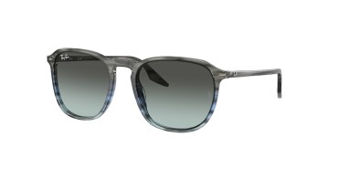 Ray-Ban RB2203-1391GK-55