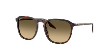 Ray-Ban RB2203-14290A