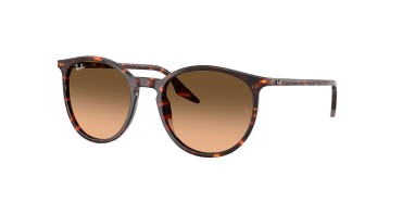 Ray-Ban RB2204-14293B
