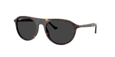 Ray-Ban RB2215-902/48