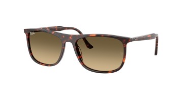 Ray-Ban RB2216-14290A