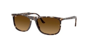 Ray-Ban RB2216-143185
