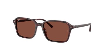 Ray-Ban RAIMOND RB2231-1416C5