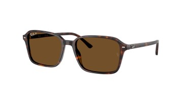 Ray-Ban RAIMOND RB2231-902/57