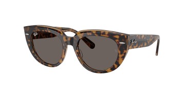 Ray-Ban DOREEN RB2286-1292B1