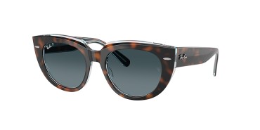 Ray-Ban DOREEN RB2286-1413S3