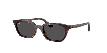 Ray-Ban RB4456-135987-53