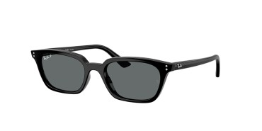 Ray-Ban RB4456-667781-53