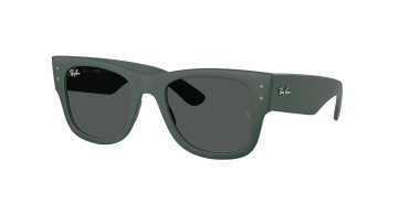Ray-Ban RB4840S-665787