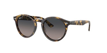 Ray-Ban Larry RB7680S-1332GL