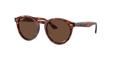 Ray-Ban Larry RB7680S-954/AN
