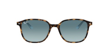 Ray-Ban Leonard RB2193-13163M-53