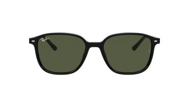 Ray-Ban Leonard RB2193-901/31-53