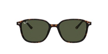 Ray-Ban Leonard RB2193-902/31-53