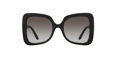 Dolce&Gabbana DG6193U-501/8G