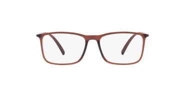 Giorgio Armani AR7244U-6004