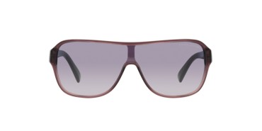 Ralph Lauren RL8214U-605279