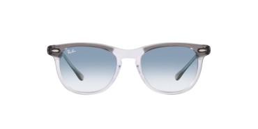 Ray-ban Eagleeye RB2398-13553F