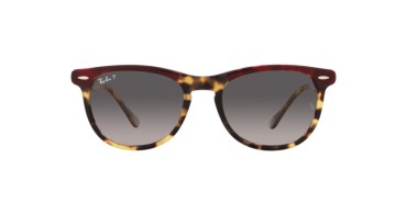 Ray-ban Eagleeye RB2398-1377M3