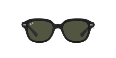 Ray-ban Erik RB4398-901/31