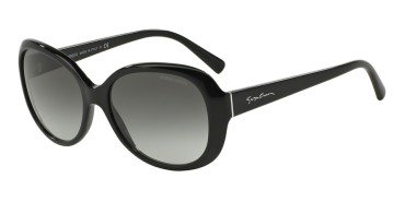 Giorgio Armani AR8047-501711