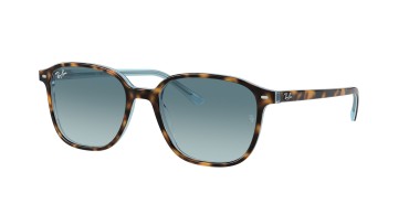 Ray-Ban Leonard RB2193-13163M-53