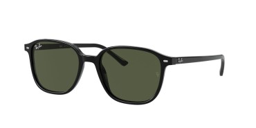 Ray-Ban Leonard RB2193-901/31-53