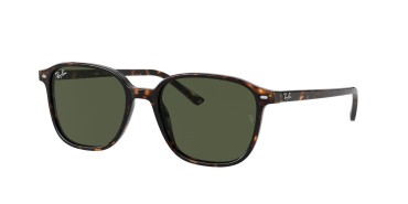 Ray-Ban Leonard RB2193-902/31-53