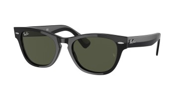 Ray-Ban Laramie RB2201-901/31