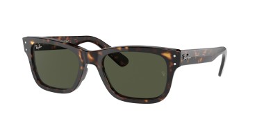 Ray-Ban Mr Burbank RB2283-902/31