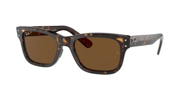 Ray-Ban Mr Burbank RB2283-902/57