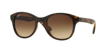 Ray-Ban ® RB4203-710/13