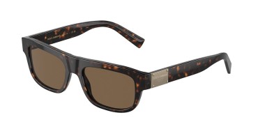 Dolce&Gabbana DG4432-502/73