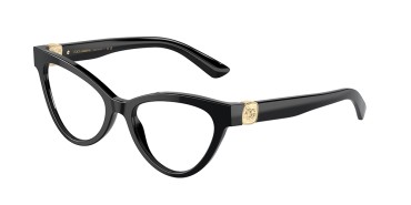 Dolce&Gabbana DG3394-501-50