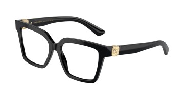 Dolce&Gabbana DG3395-501-51