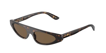 Dolce&Gabbana DG4442-502/73