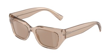 Dolce&Gabbana DG4462-34325A