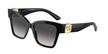 Dolce&Gabbana DG4470-501/8G