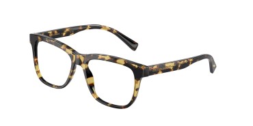 Dolce&Gabbana DX3356-512-49