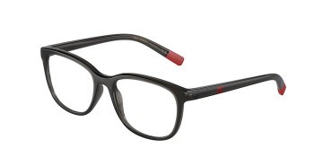 Dolce&Gabbana DX5094-3160-48