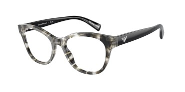 Emporio Armani EA3162-5193