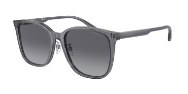 Emporio Armani EA4206D-5029T3