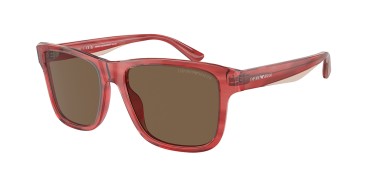 Emporio Armani EA4208-605373