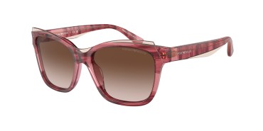 Emporio Armani EA4209-605713