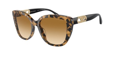 Emporio Armani EA4214U-60593B