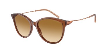 Emporio Armani EA4220-61103B