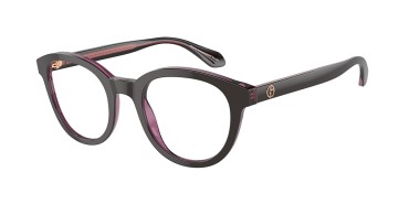 Giorgio Armani AR7256-6088-48