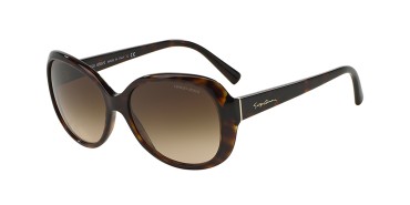 Giorgio Armani AR8047-502613