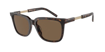 Giorgio Armani AR8202U-587973